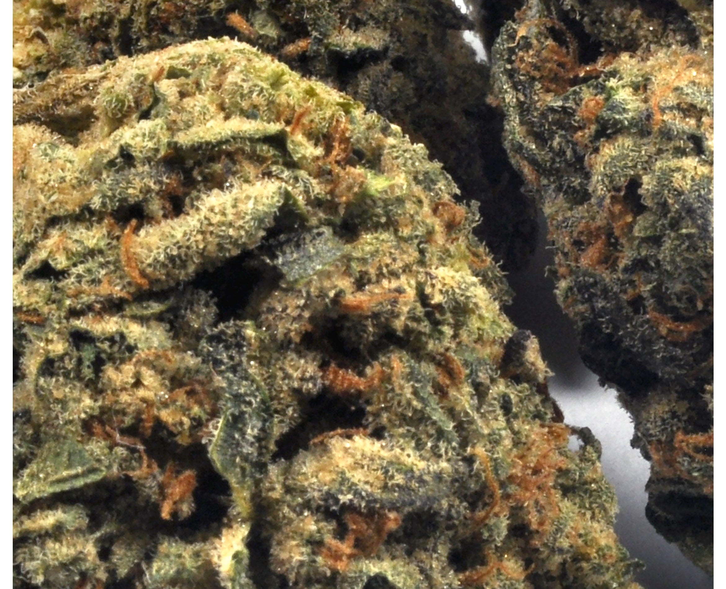 STRAIN REC ICE CREAM CAKE (H) DRIED - 3.5G
