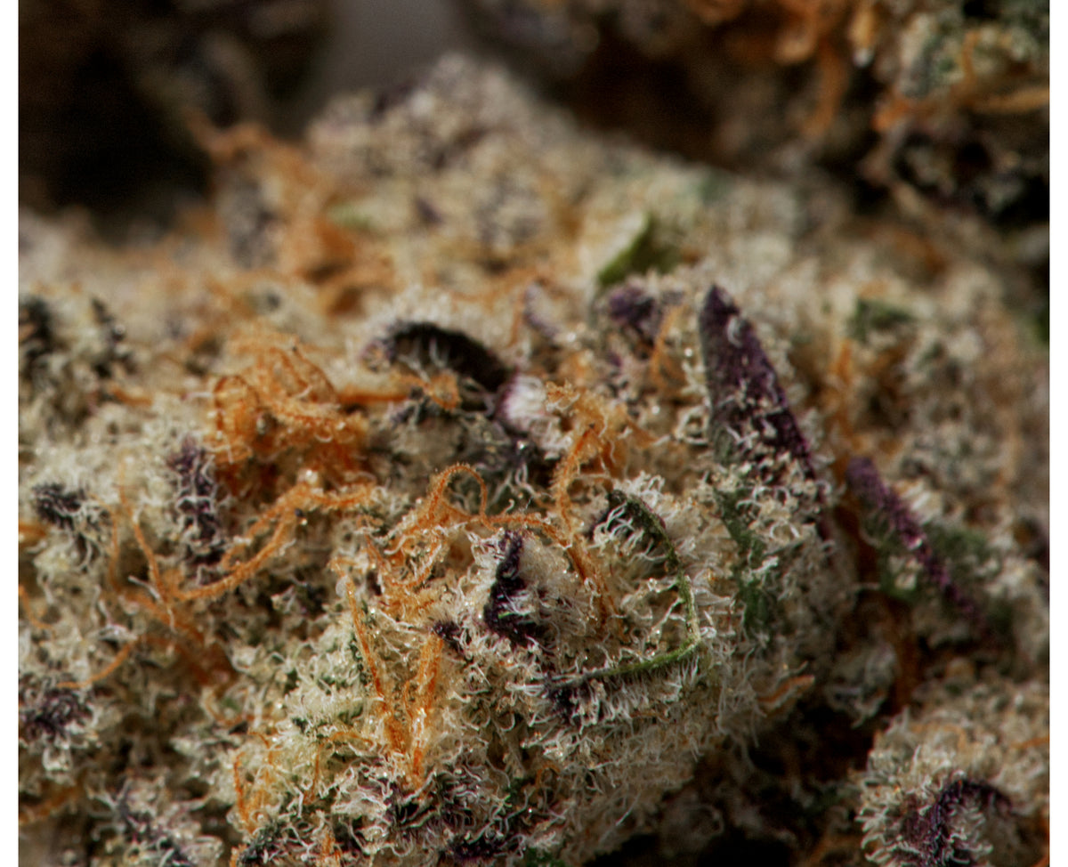 JOI BOTANICALS CAKE CRASHER NO.2 (IND) DRIED - 3.5G