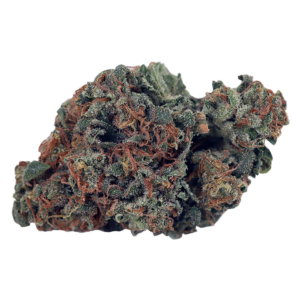 HIGH TIDE GHOST TRAIN HAZE (S) DRIED - 3.5G