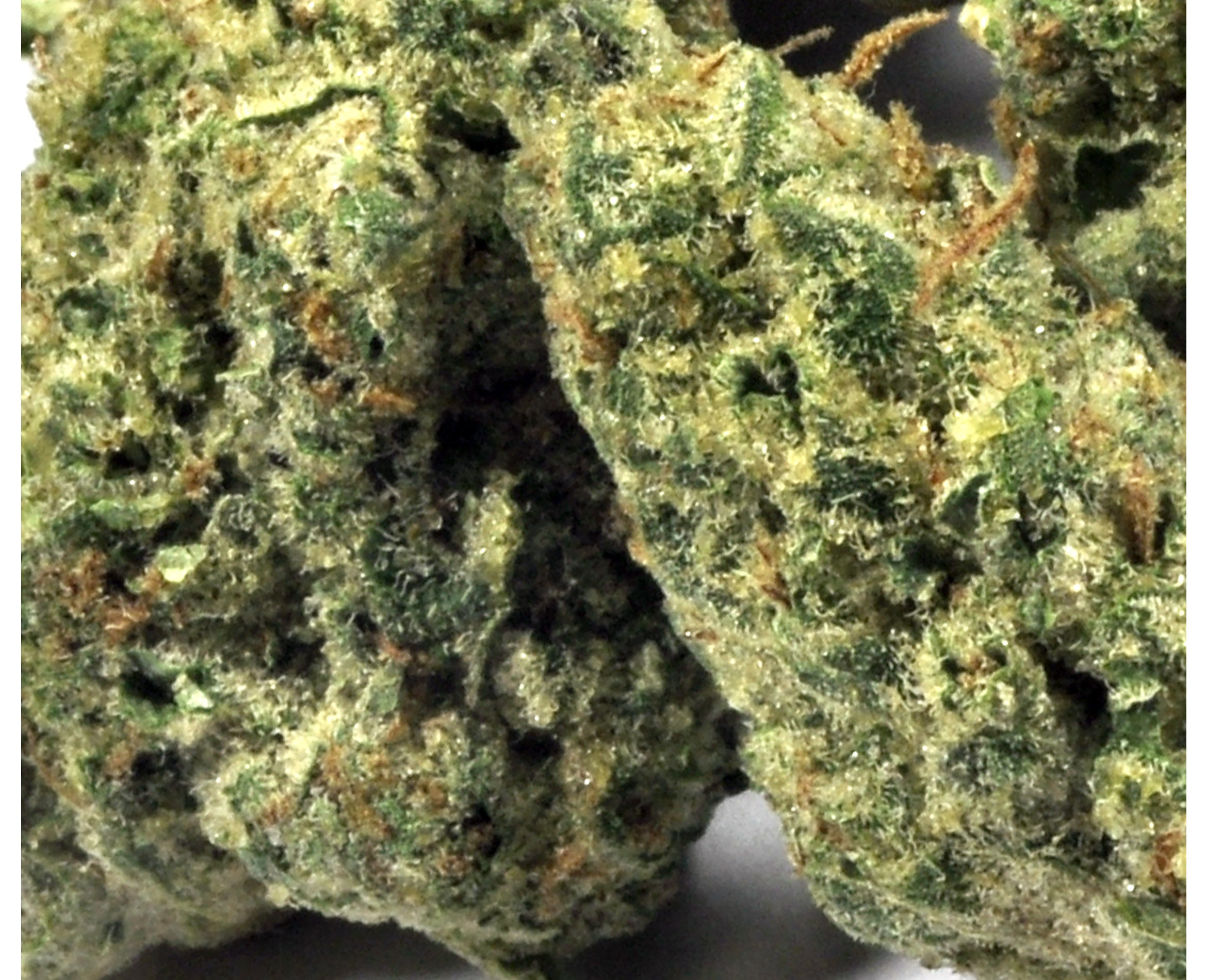 STRAIN REC CVK COOKIE (IND) DRIED - 3.5G