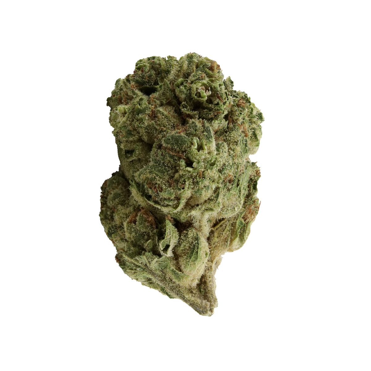 THUMBS UP GARLIC Z (IND) DRIED - 3.5G