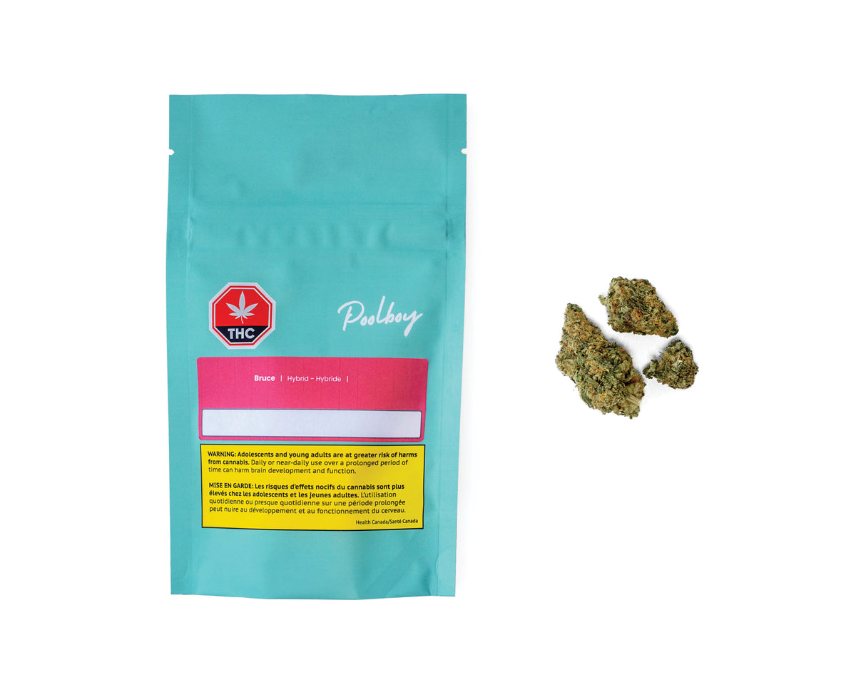 POOLBOY BRUCE (H) DRIED - 3.5G