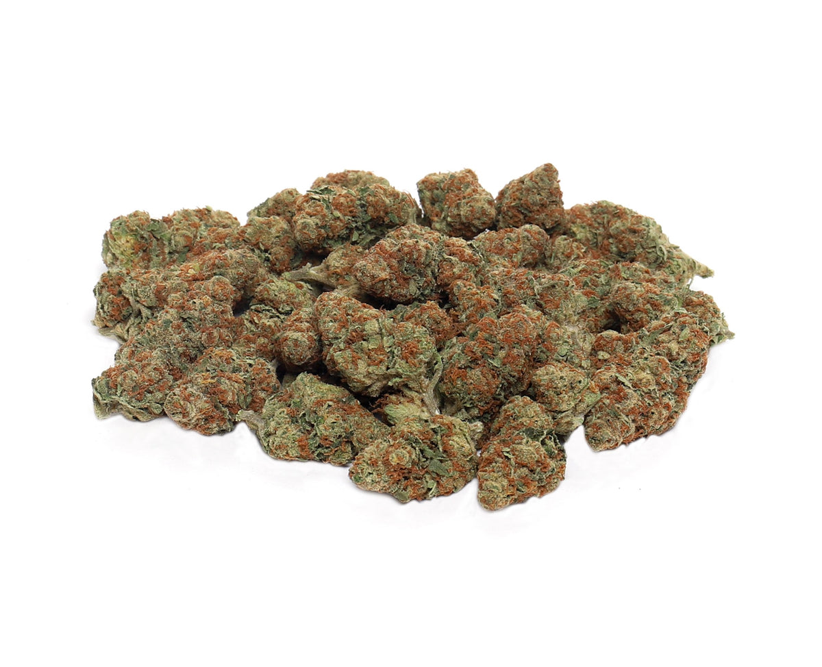JENNS STASH SATIVA (S) DRIED - 28G