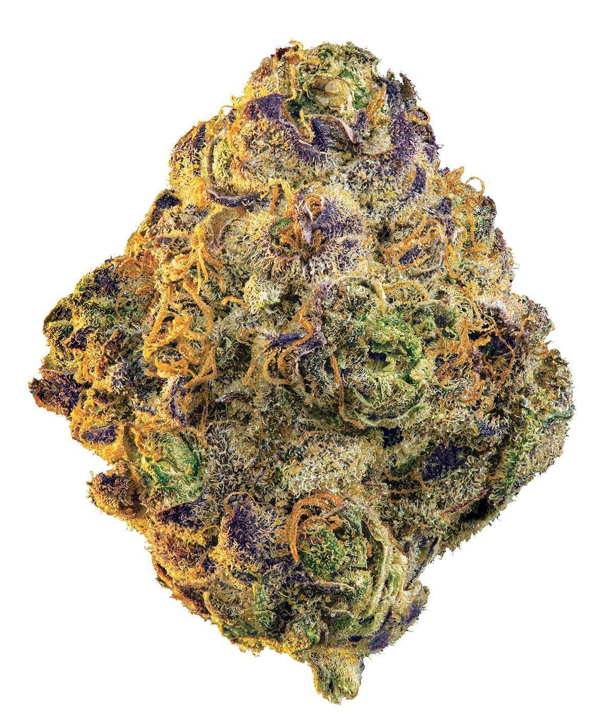 EDISON SLURRICANE (IND) DRIED - 3.5G
