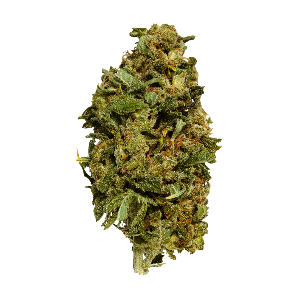 ORIGINAL STASH OS.RESERVE SATIVA (S) DRIED - 7G