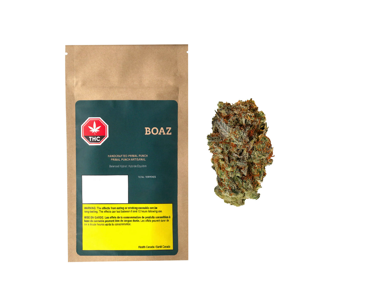BOAZ PRIMAL PUNCH (H) DRIED - 3.5G