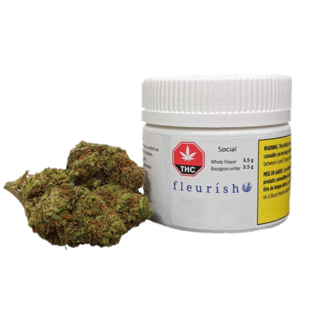 FLEURISH SOCIAL (S) DRIED - 3.5G