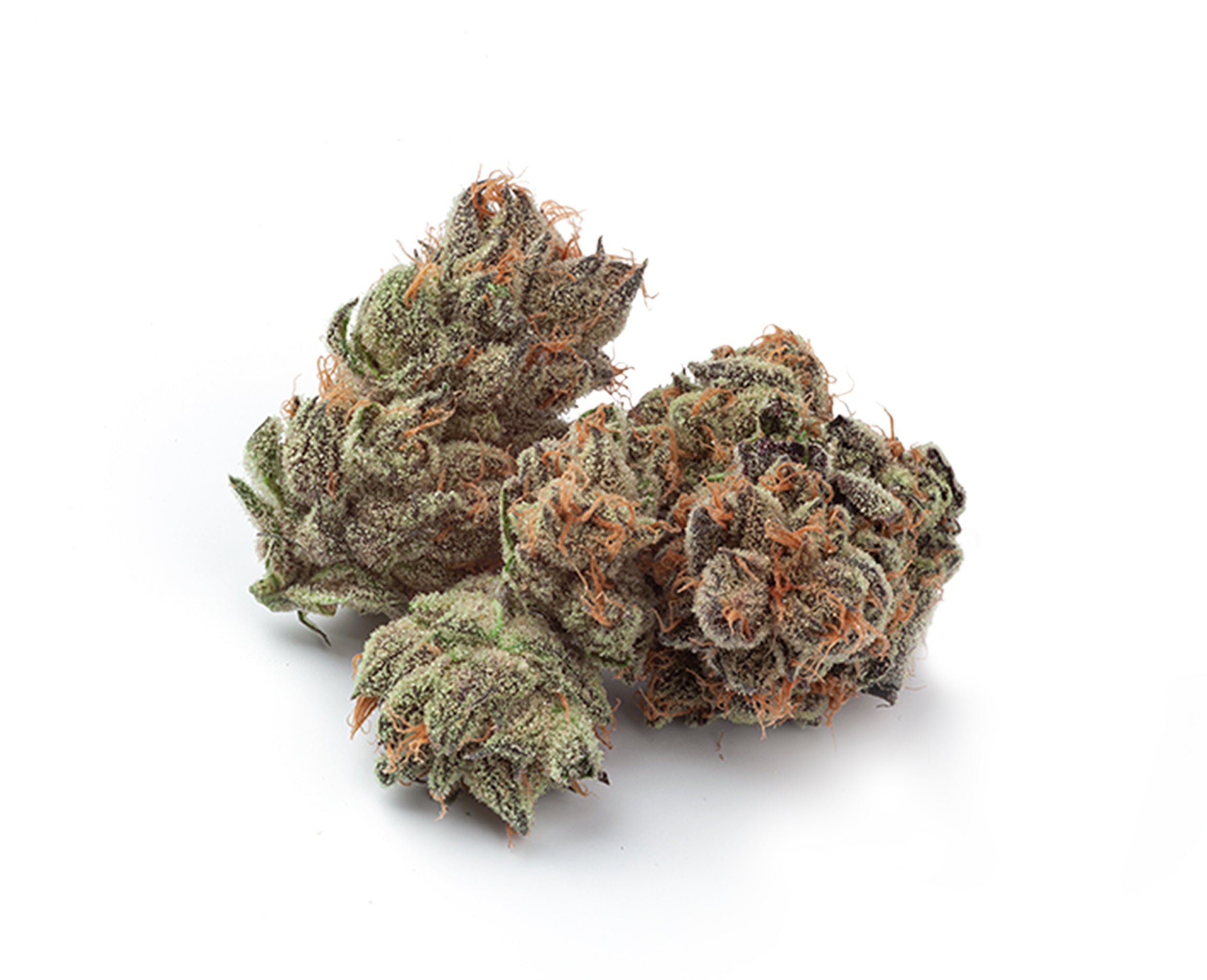 NATURAL HISTORY FRUIT CAKE RESERVE (H) DRIED - 3.5G