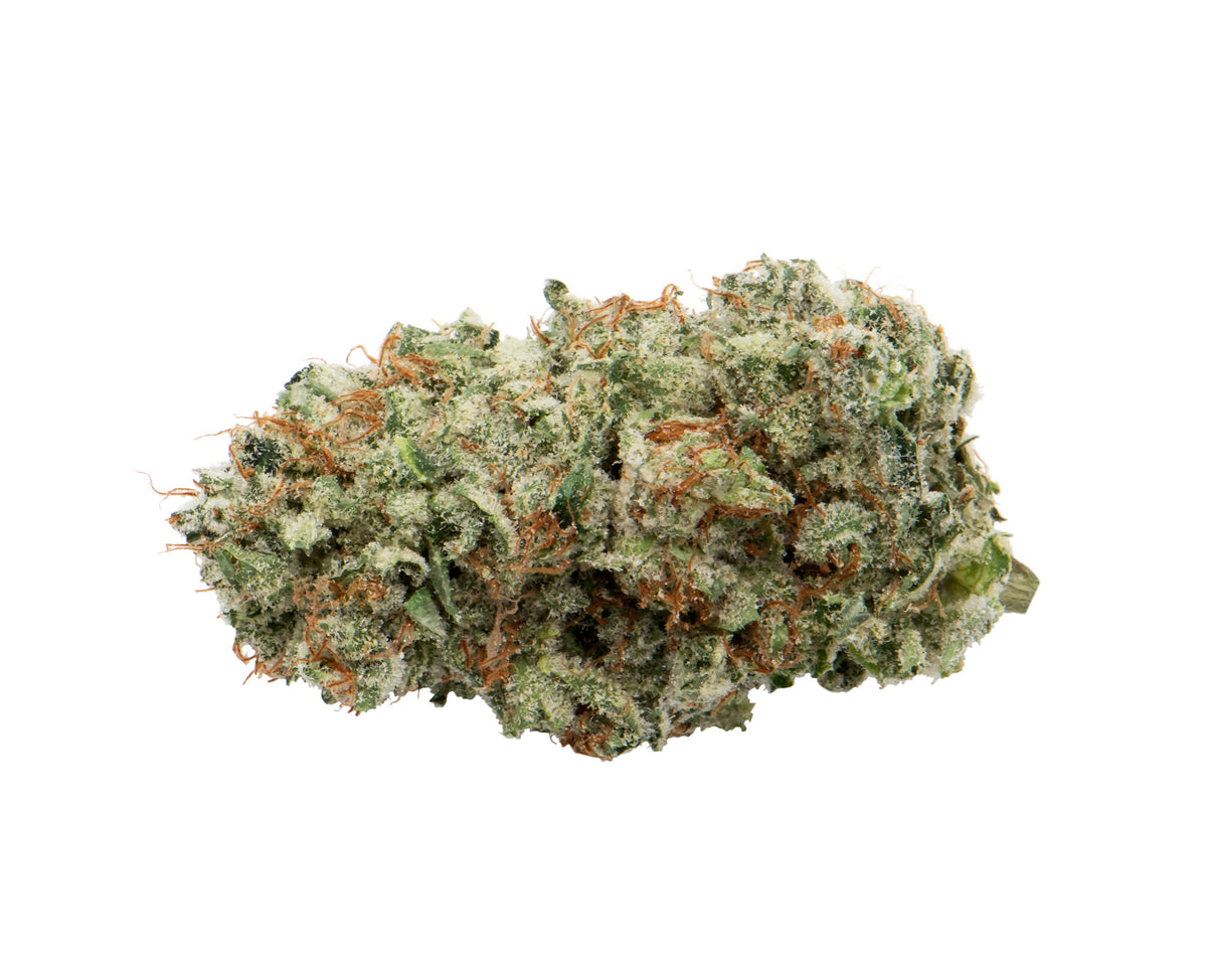 GREYBEARD AFGHANI DRIFTER (H) DRIED - 7G