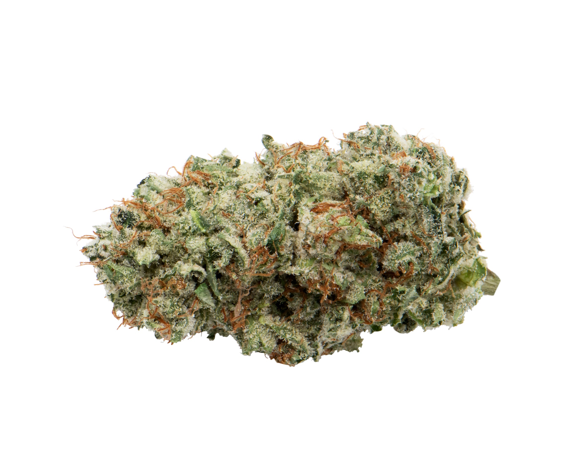 GREYBEARD AFGHANI DRIFTER (H) DRIED - 7G