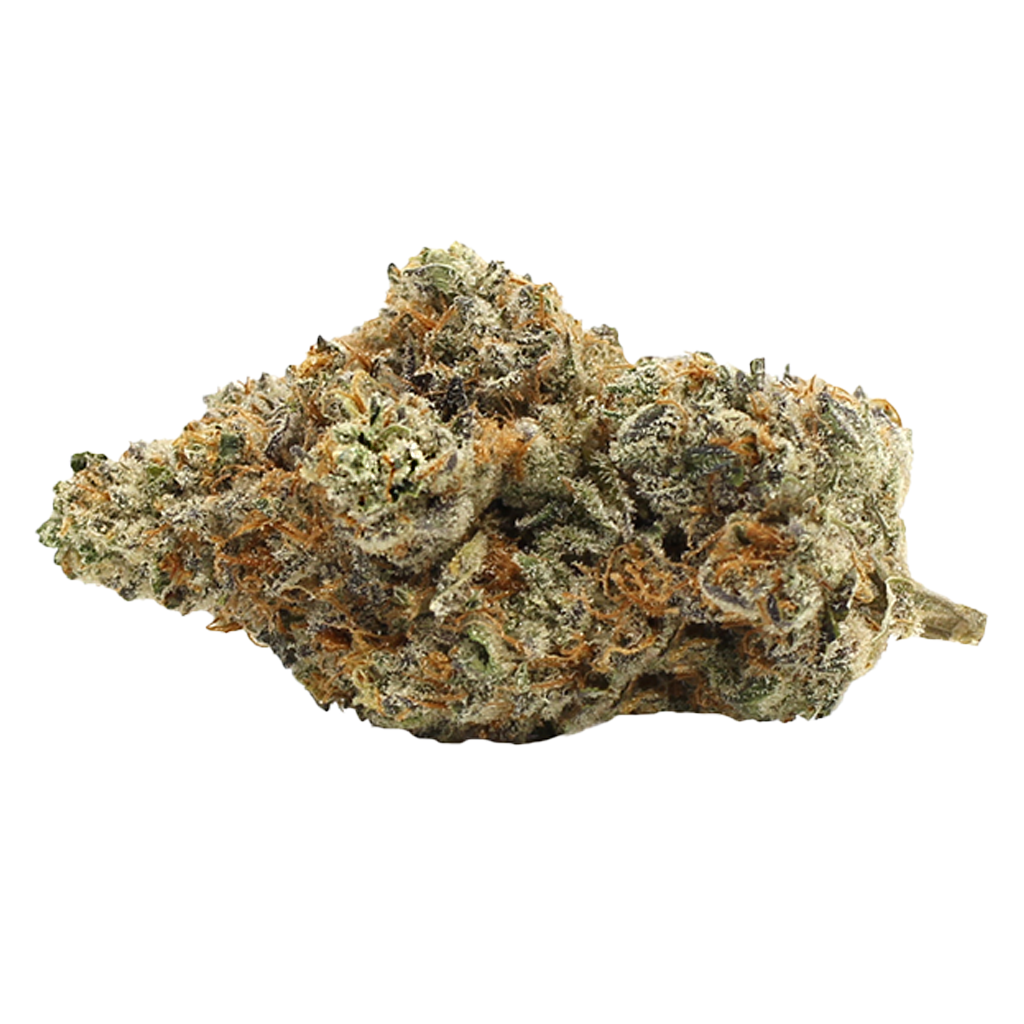GAGE GELATO (IND) DRIED - 3.5G