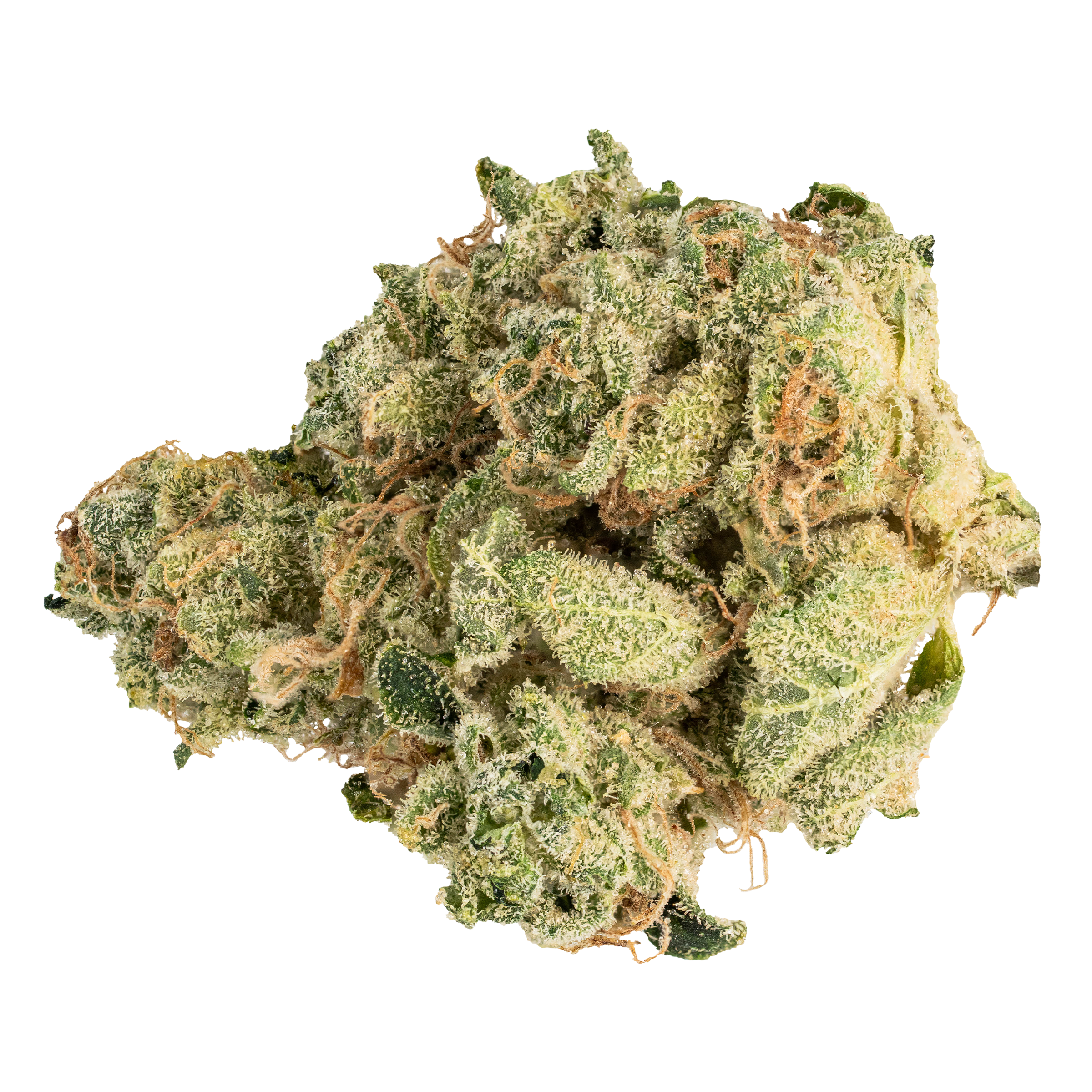 MUSKOKA GROWN CHEM OG (IND) DRIED - 3.5G
