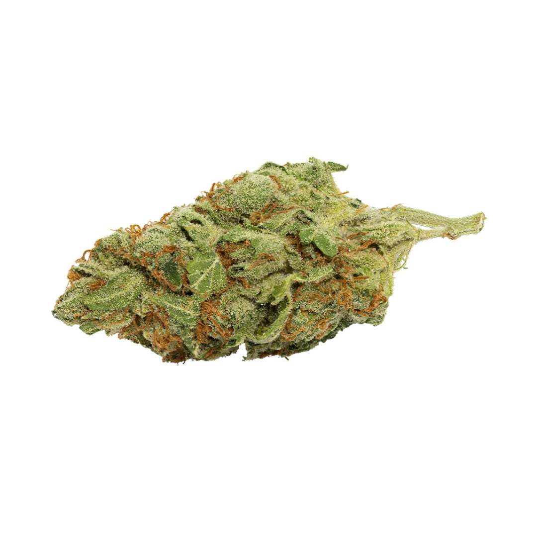 QUEEN WEST '94 OG KUSH (IND) DRIED - 3.5G