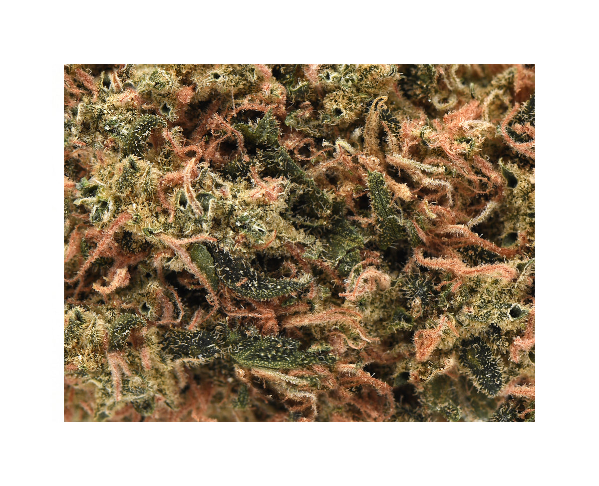 VIRIDIS VORTEX (IND) DRIED - 3.5G