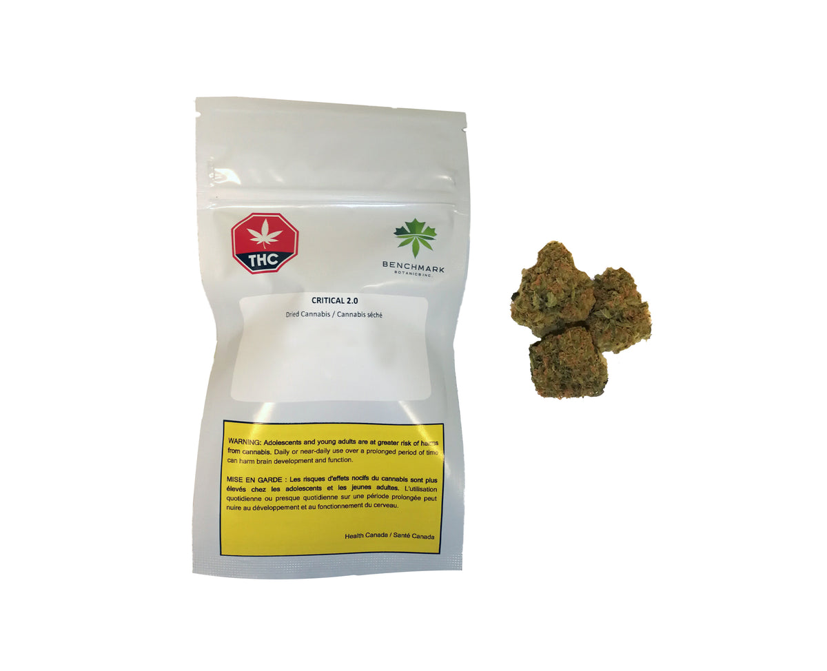 BENCHMARK CRITICAL (H) DRIED - 3.5G
