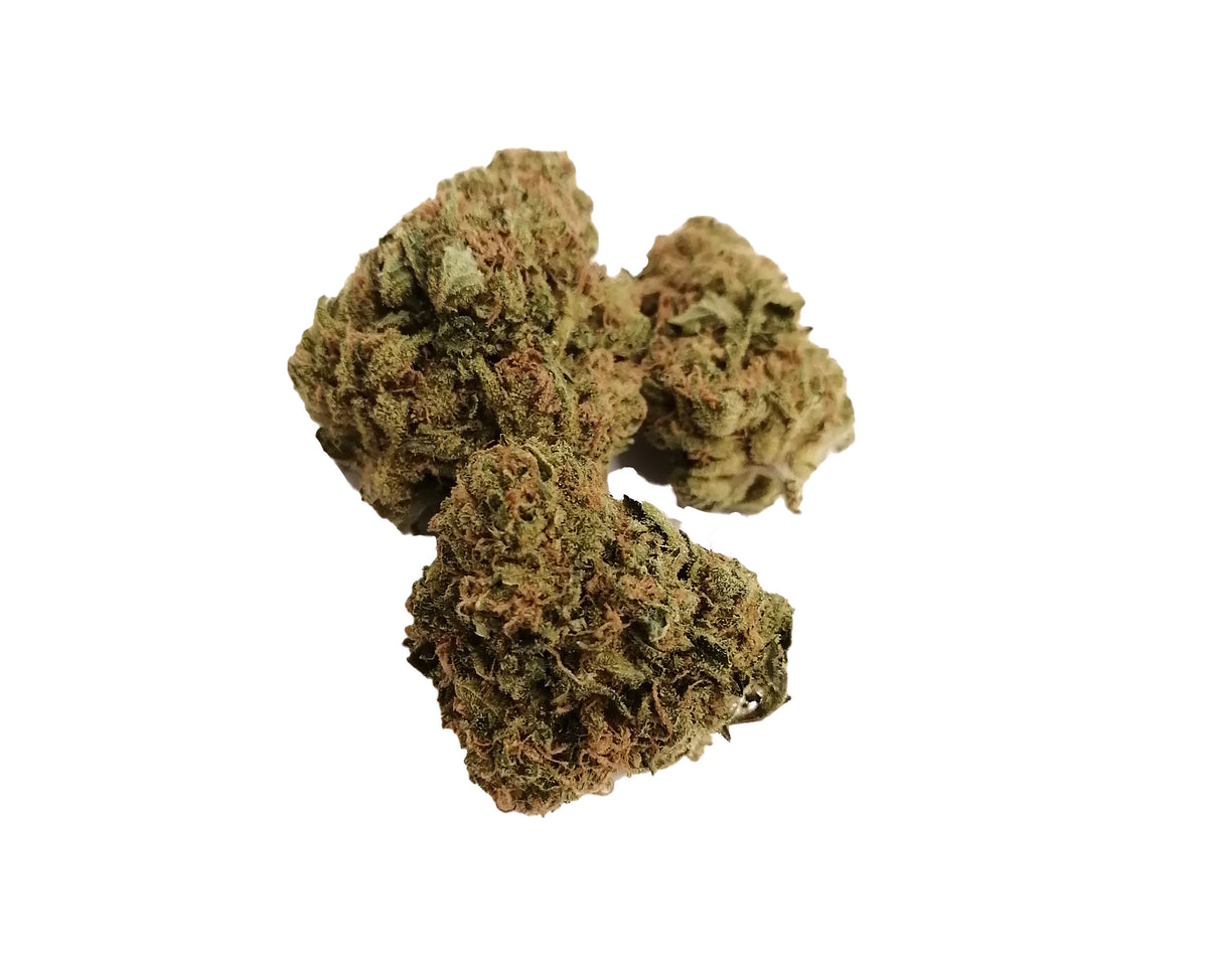BENCHMARK CRITICAL (H) DRIED - 3.5G