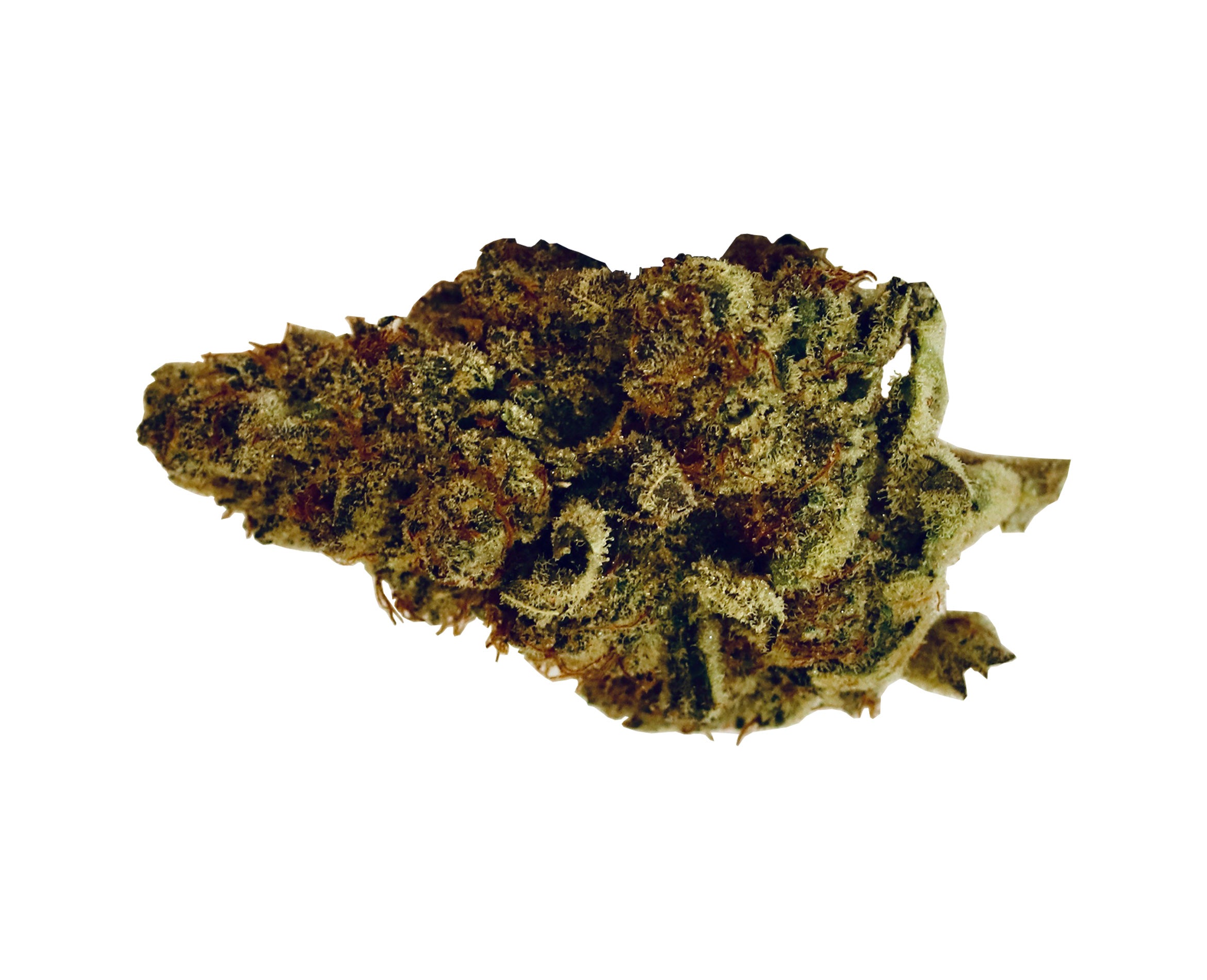 BOAZ MANDARIN COOKIES (S) DRIED - 28G