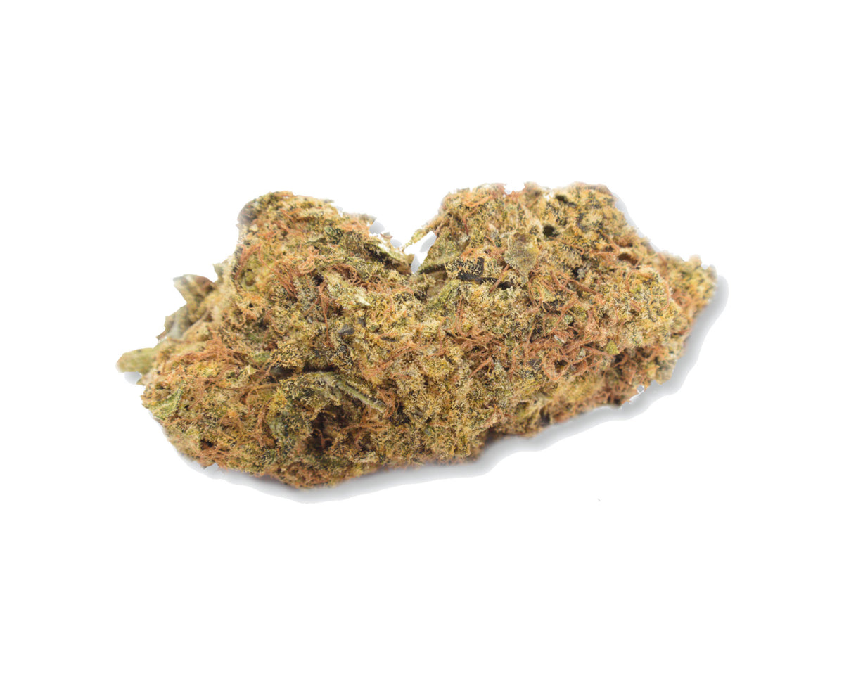 PALM GARDENS DAYDREAM (H) DRIED - 1G