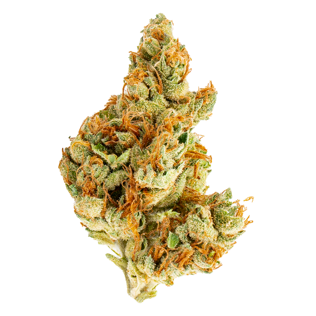 GOOD SUPPLY TANGIE GREEN (H) DRIED - 3.5G