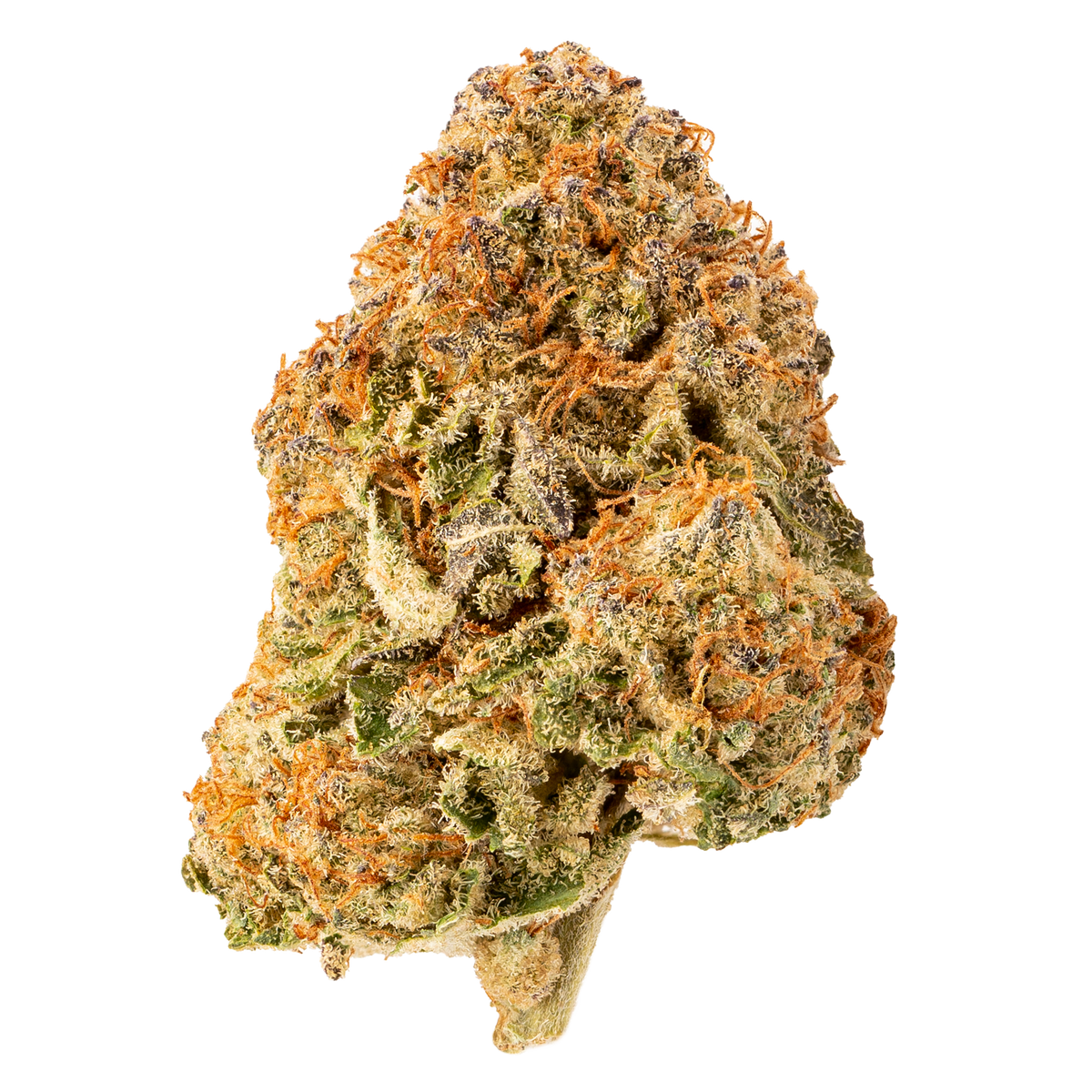 RIFF HELL CAT 33 (H) DRIED - 3.5G