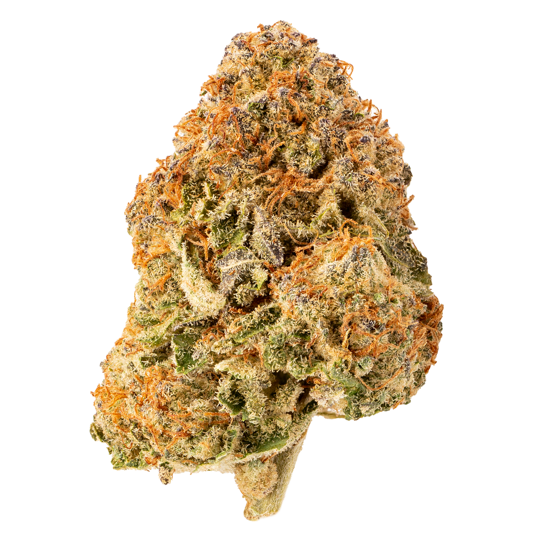 RIFF HELL CAT 33 (H) DRIED - 3.5G