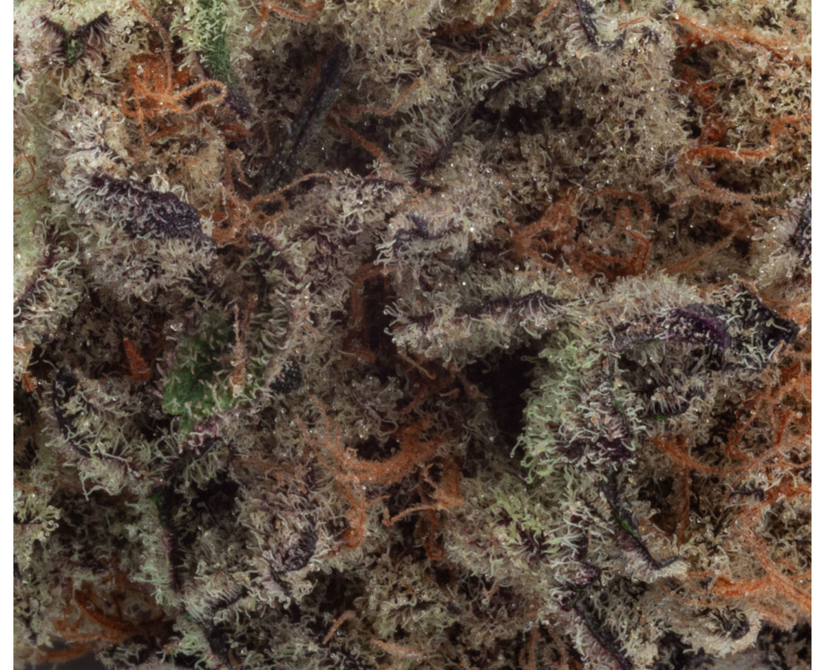 NATURAL HISTORY MEAT BREATH (IND) DRIED - 3.5G