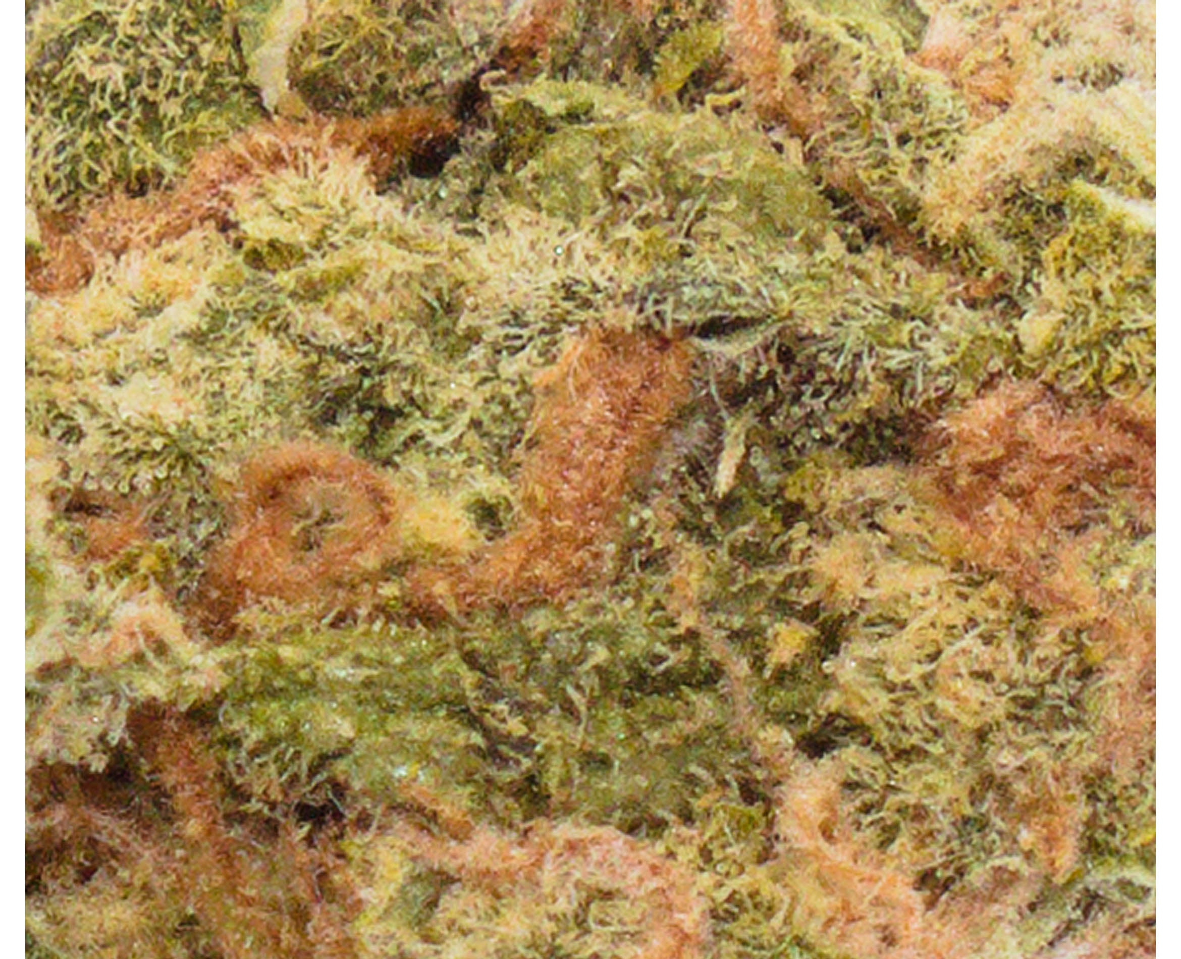 PALM GARDENS ISLAND BREEZE (H) DRIED - 3.5G