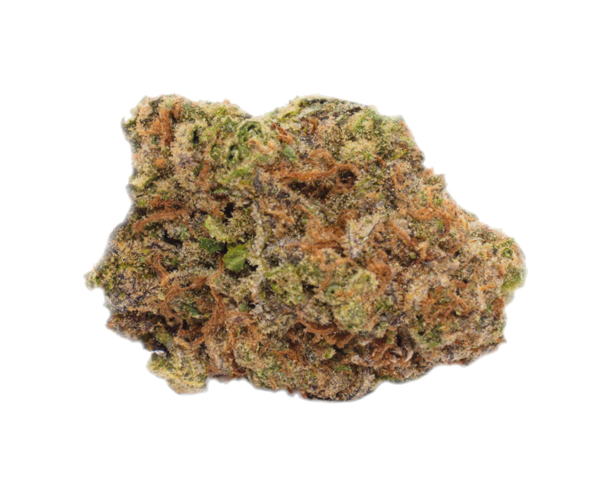 PALM GARDENS SUNRISE (S) DRIED - 1G