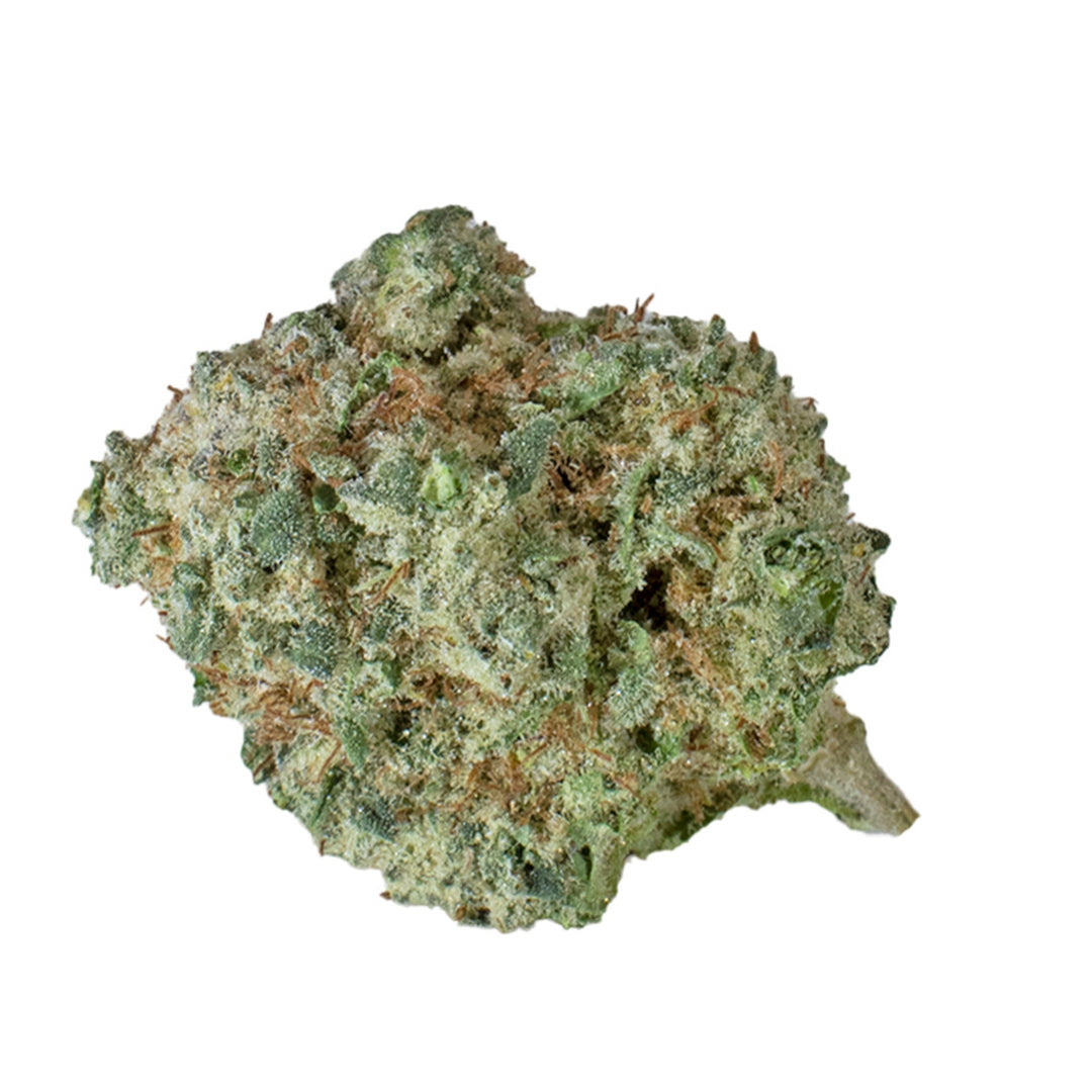 SELESTE PURPLE AYA (IND) DRIED - 3.5G