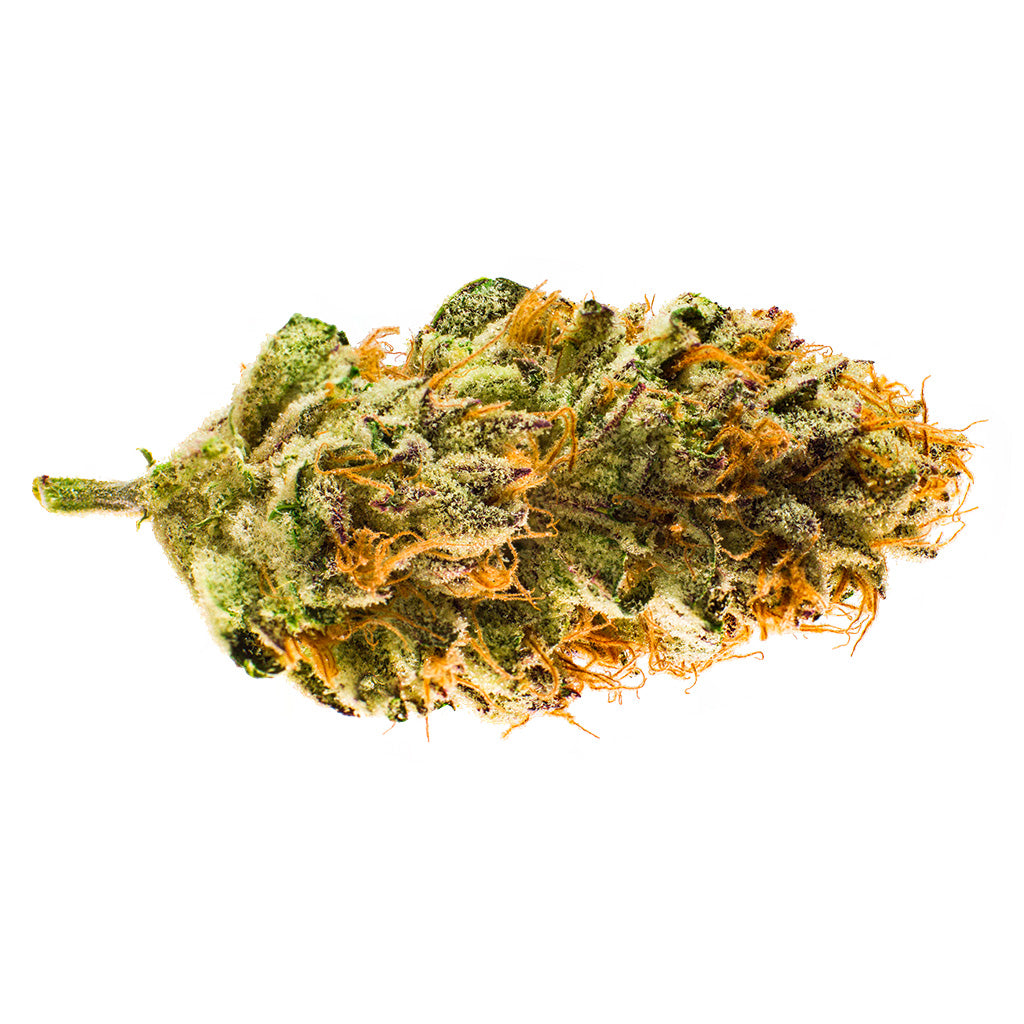 REDECAN BLACK CHERRY PUNCH (IND) DRIED - 1G