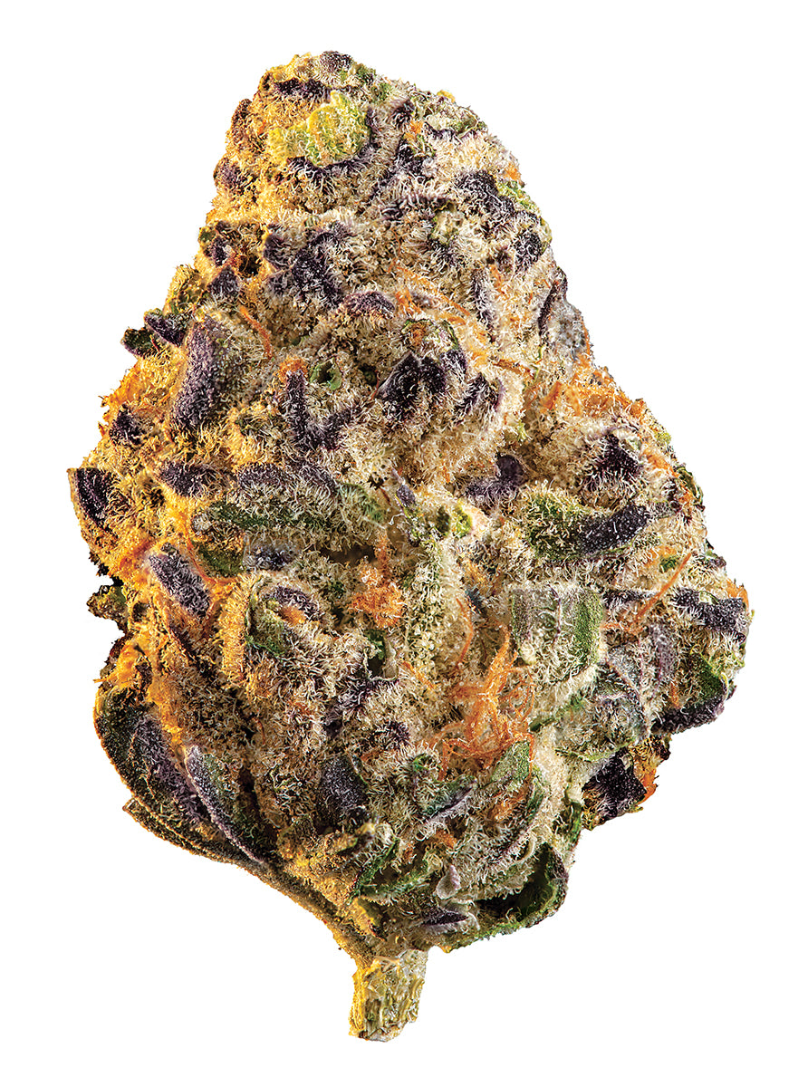 EDISON BLACK CHERRY PUNCH (IND) DRIED - 14G