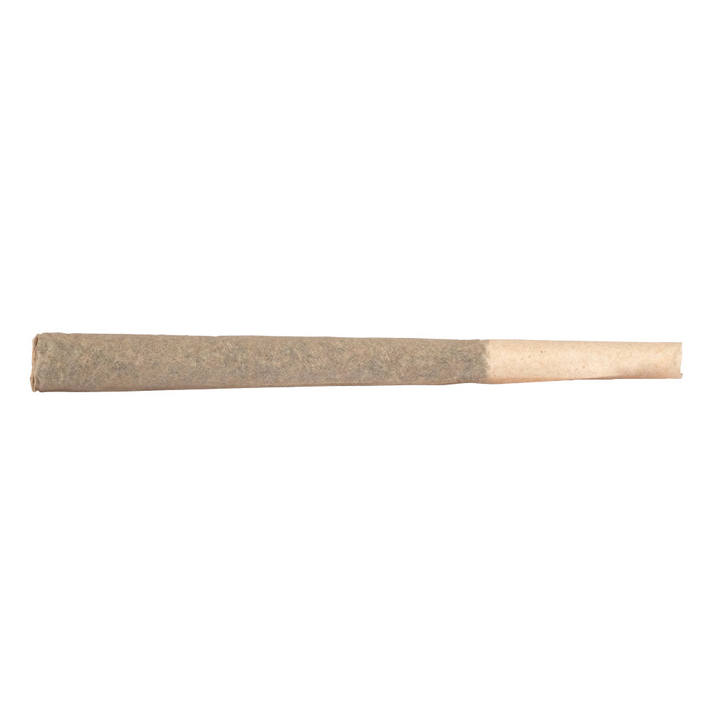 DIVVY BLACK WIDOW CBD (H) PRE-ROLL - 0.35G X 12