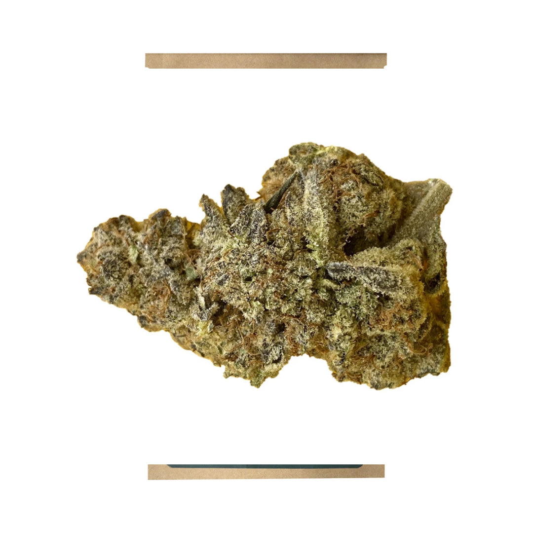 BOAZ PIZZA BREATH (H) DRIED - 3.5G