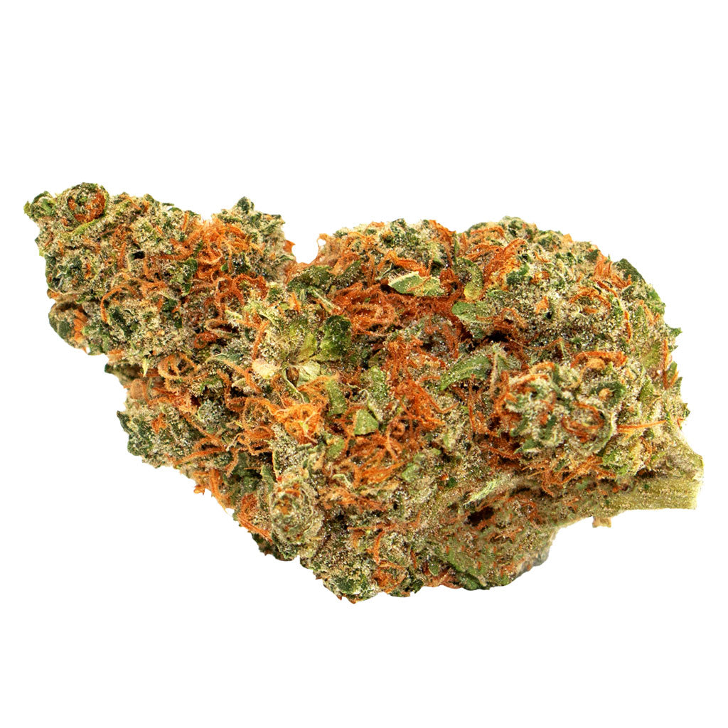 BOLD B BANNER (H) DRIED - 3.5G
