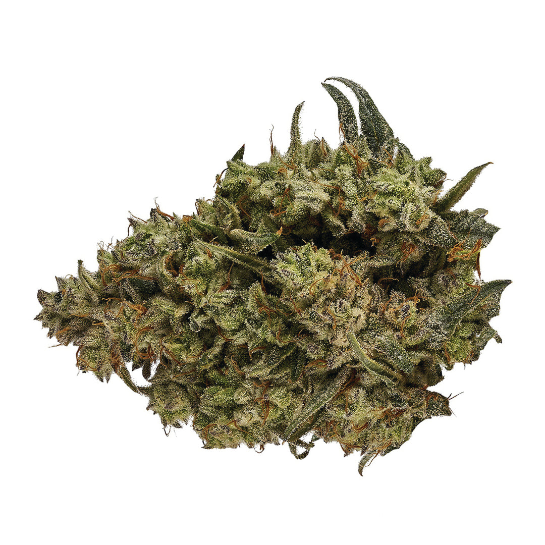 ORCHID CBD CBD RUNTZ (H) DRIED - 3.5G