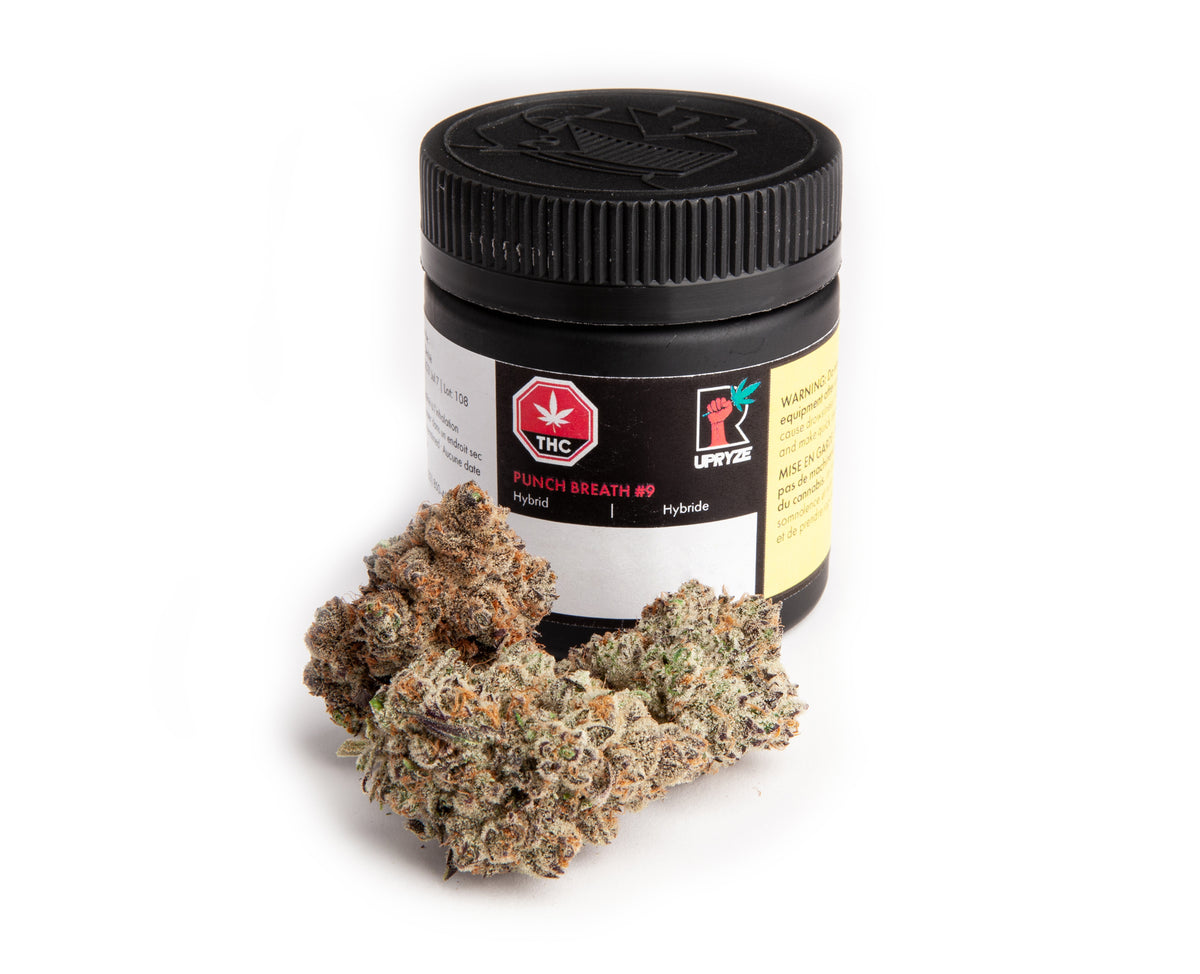 UPRYZE PUNCH BREATH (H) DRIED - 3.5G