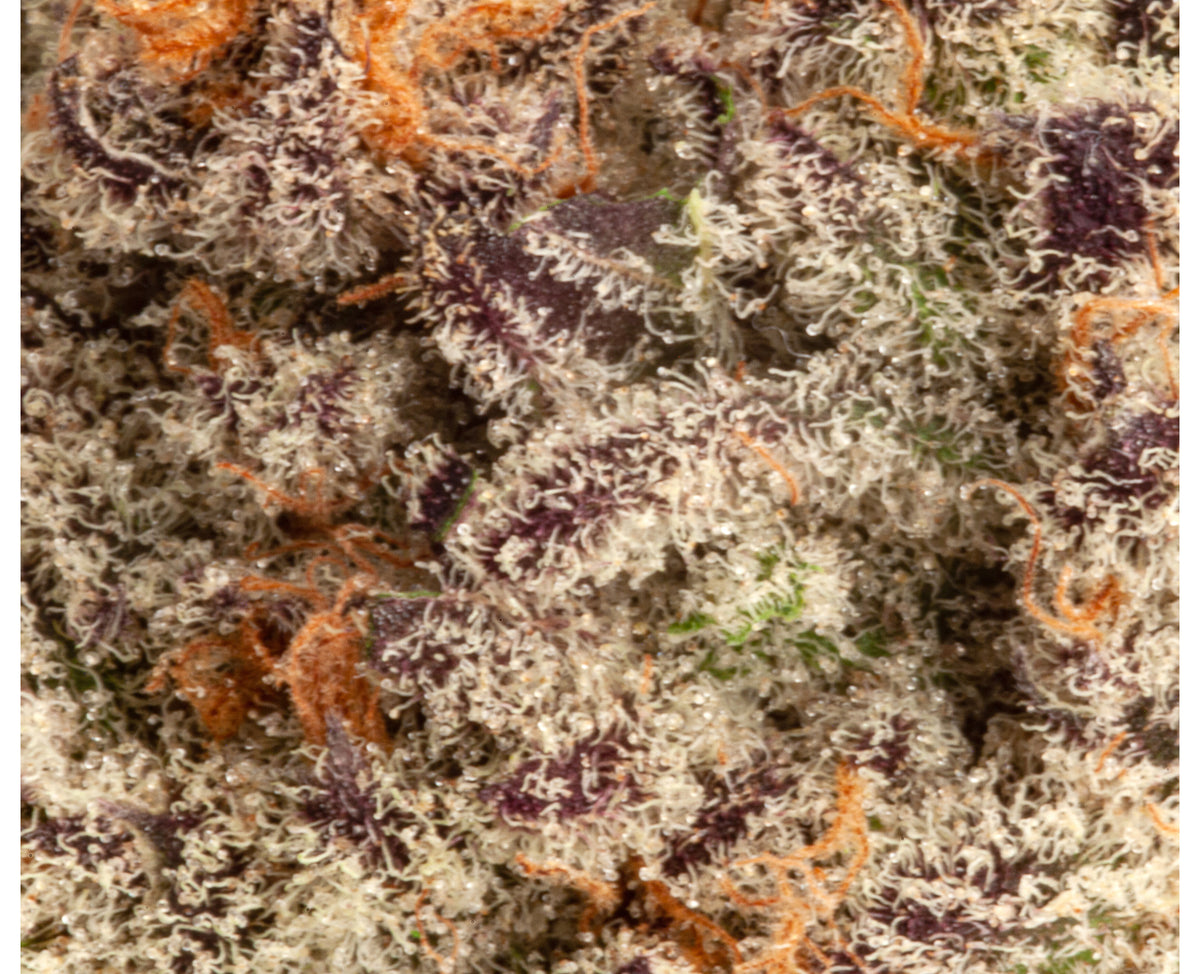 UPRYZE PUNCH BREATH (H) DRIED - 3.5G