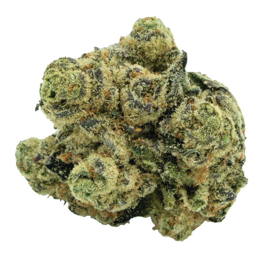 BURB BC ZAZA (S) DRIED - 3.5G