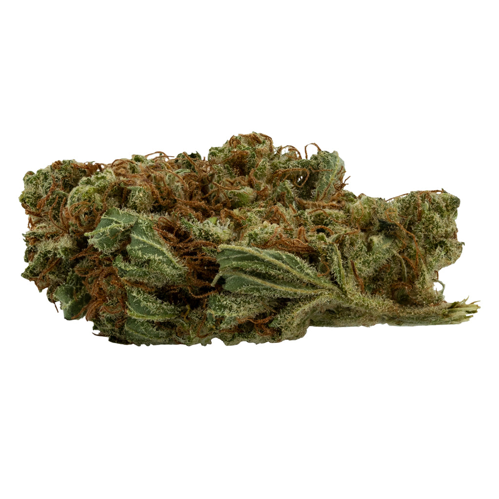 DAILY SPECIAL LEMON HAZE (S) DRIED - 3.5G
