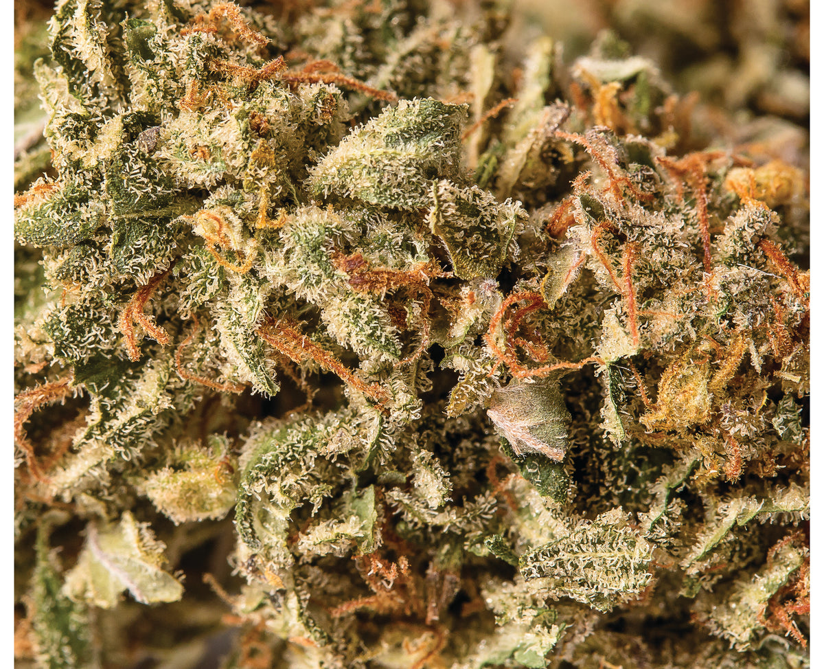 VIRIDIS GREEN BANNER (S) DRIED - 3.5G