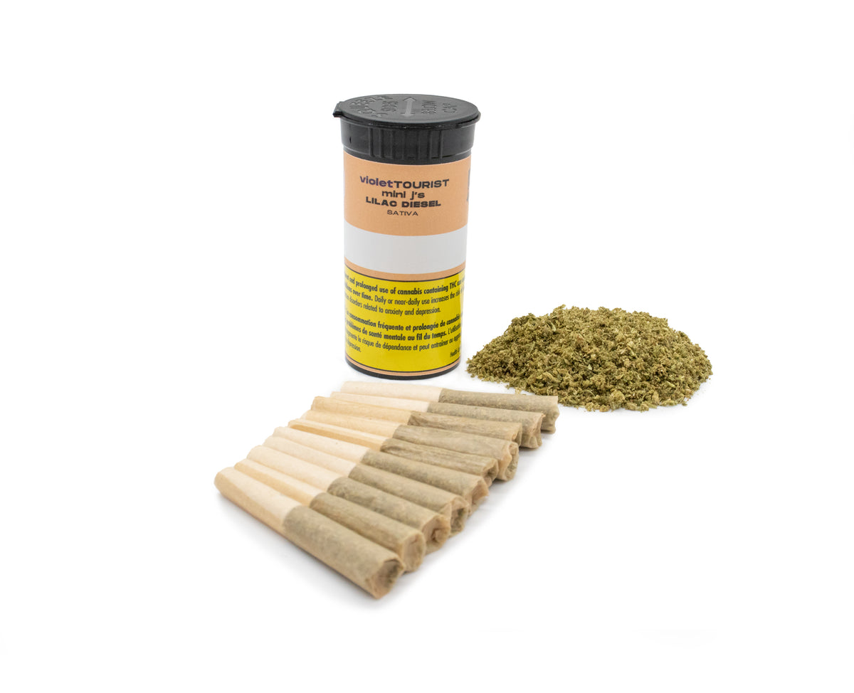 VIOLET TOURIST LILAC DIESEL (S) PRE-ROLL - 0.35G X 10