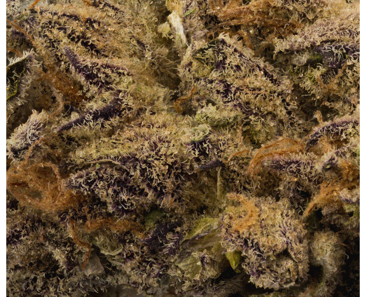 314 PURE POWDERED DONUT (IND) DRIED - 3.5G