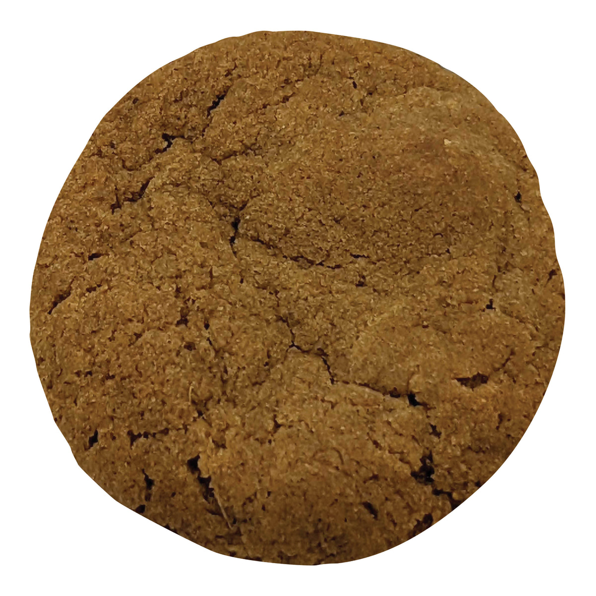 SLOWRIDE BAKERY SPICY GINGER (H) COOKIE - 10MG X 1