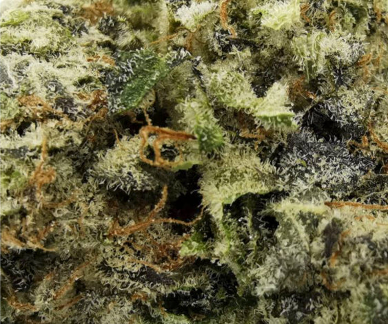 SITKA WEED WORKS FACE PUNCH (IND) DRIED - 3.5G