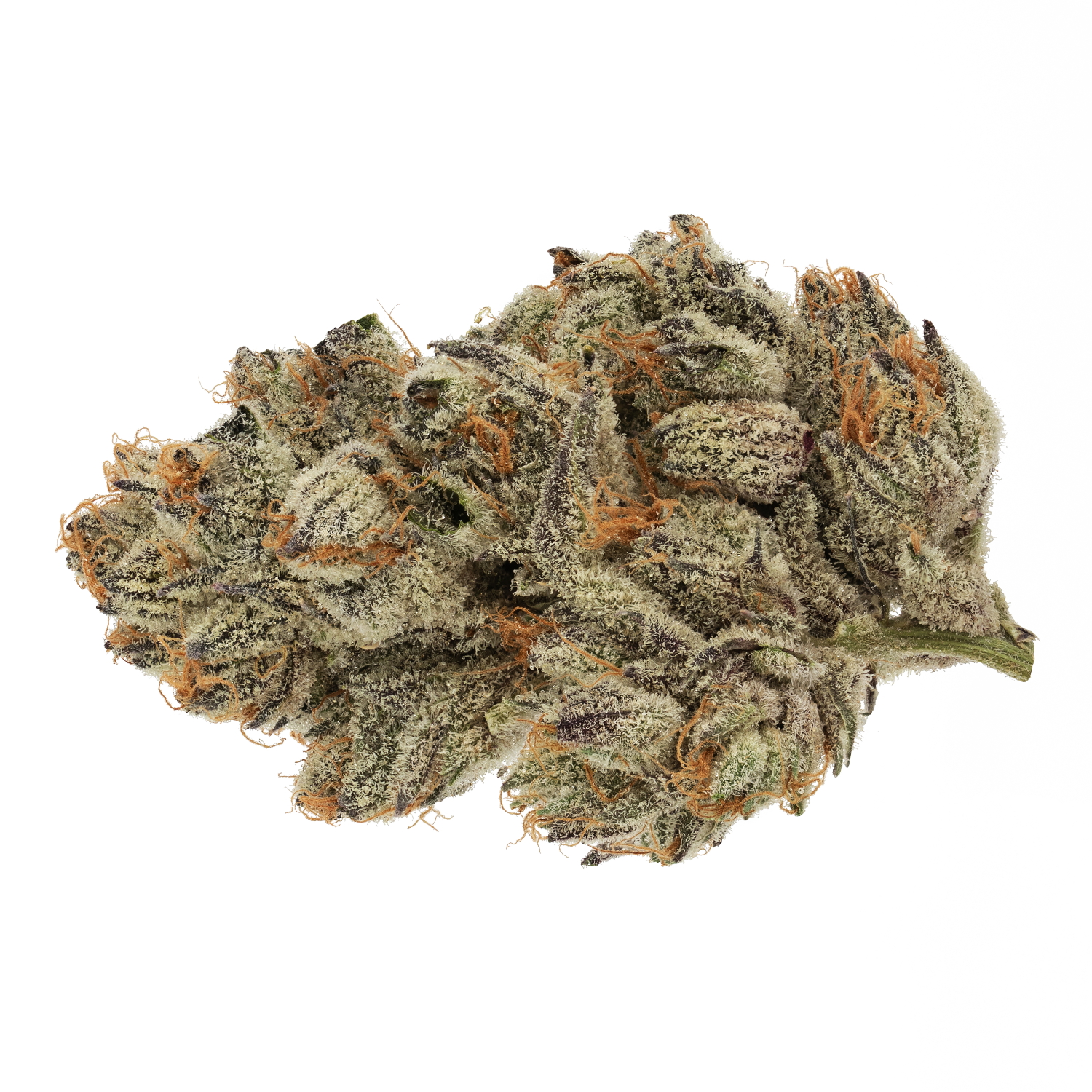 BROKEN COAST KUSH MINTS (H) DRIED - 3.5G