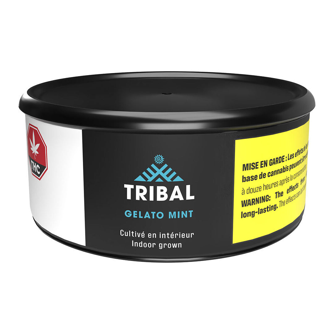 TRIBAL GELATO MINT (IND) DRIED - 3.5G