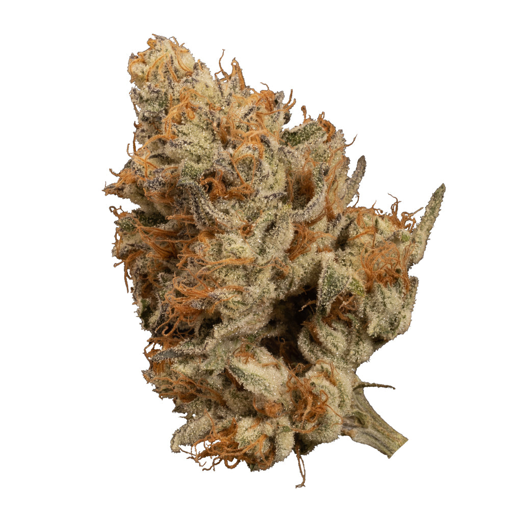 OGEN BACIO PUNCH (IND) DRIED - 3.5G