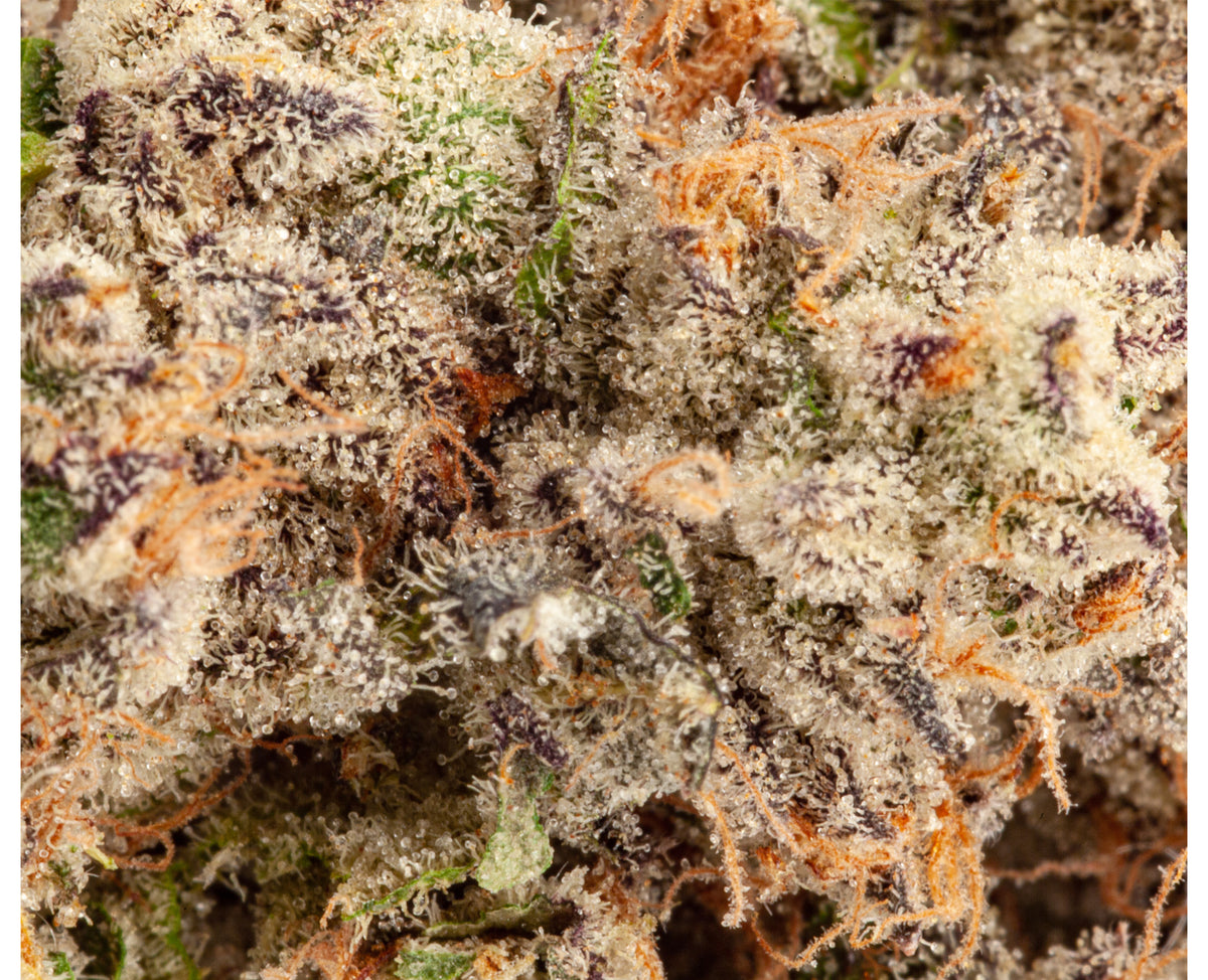 UPRYZE CRUMBLED LIME (H) DRIED - 3.5G