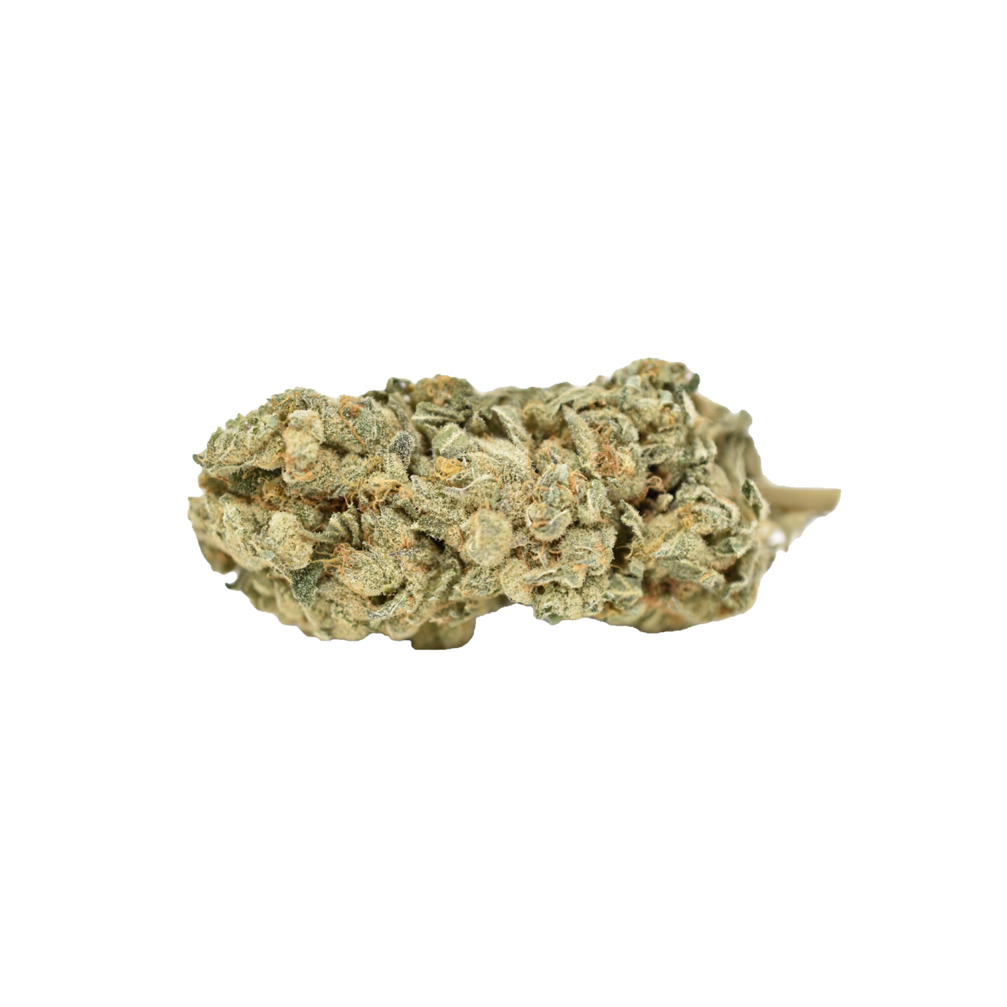 WEED ME BLUE IGUANA (H) DRIED - 3.5G