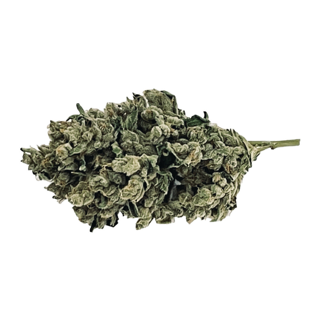 BC GREEN STANKASAURUS (H) DRIED - 3.5G